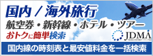 国内/海外旅行チケット 国内/海外旅行チケット