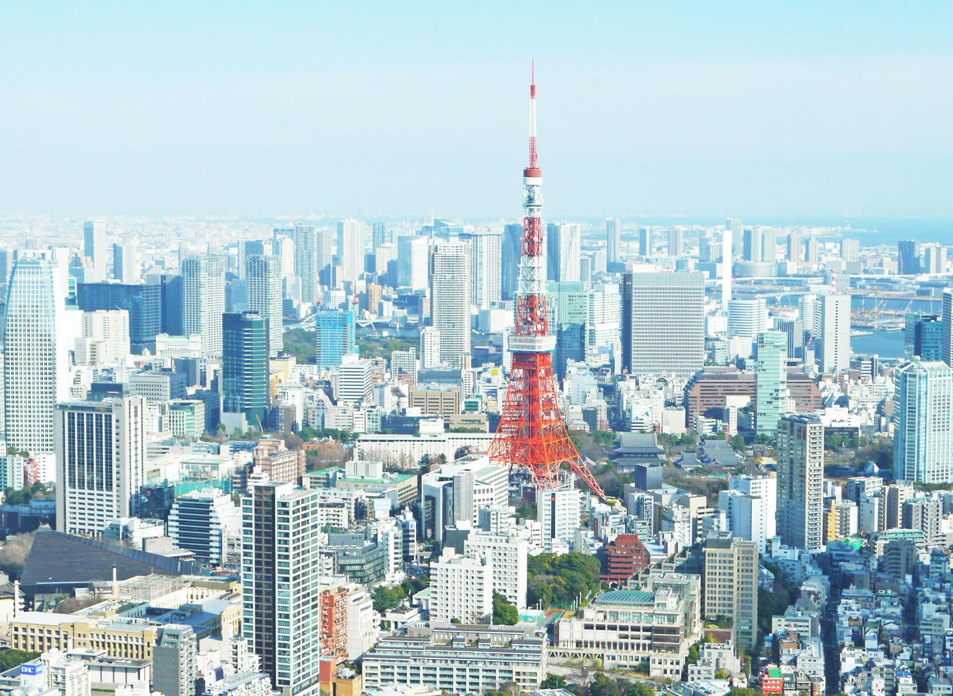 日本経済活性化のために